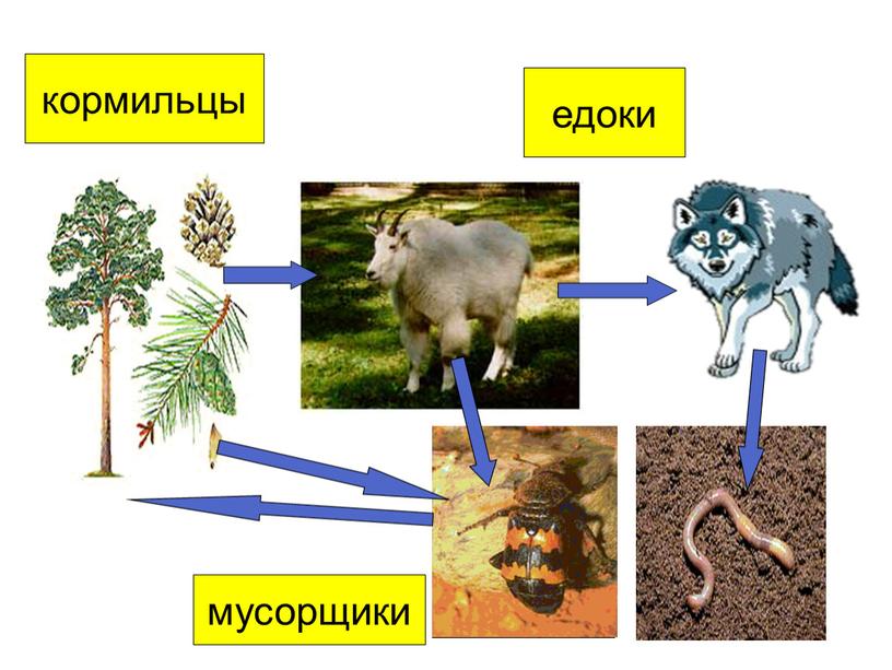 кормильцы едоки мусорщики