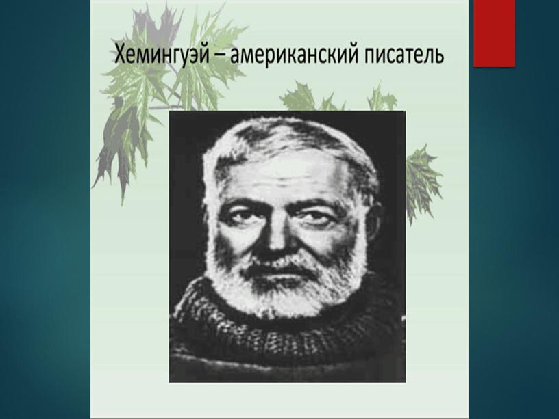 Презентация к уроку развития речи "Описание внешности"