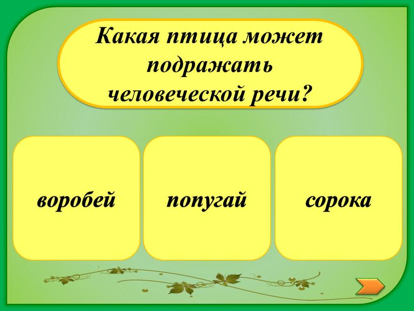 Какая птица может подражать человеческой речи? сорока воробей