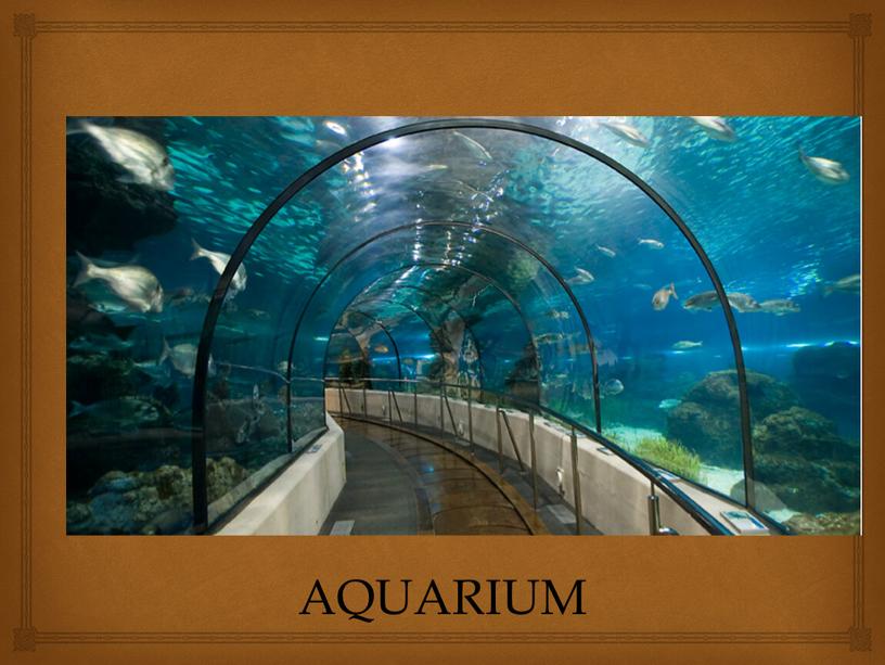 AQUARIUM