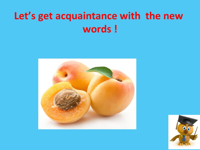 Let’s get acquaintance with the new words !