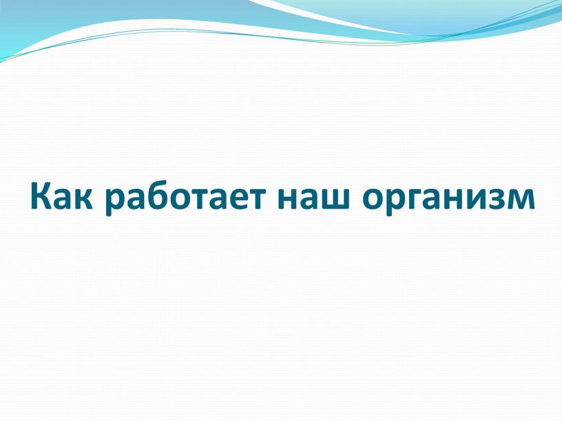 Как работает наш организм