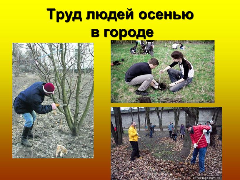 Труд людей осенью в городе