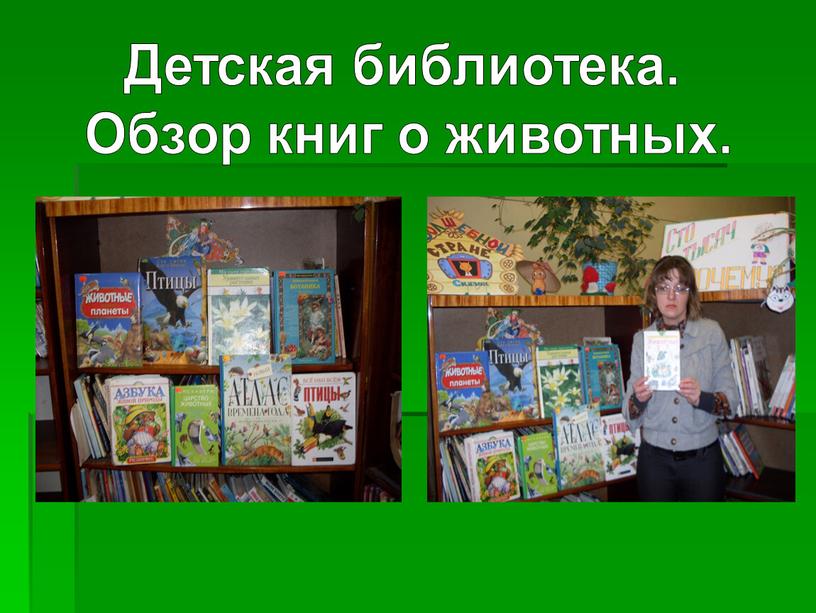 Детская библиотека. Обзор книг о животных