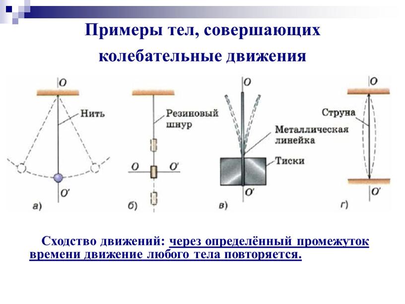 Примеры тел, совершающих колебательные движения