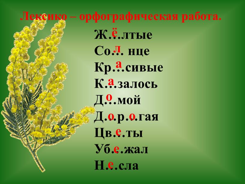 Лексико – орфографическая работа