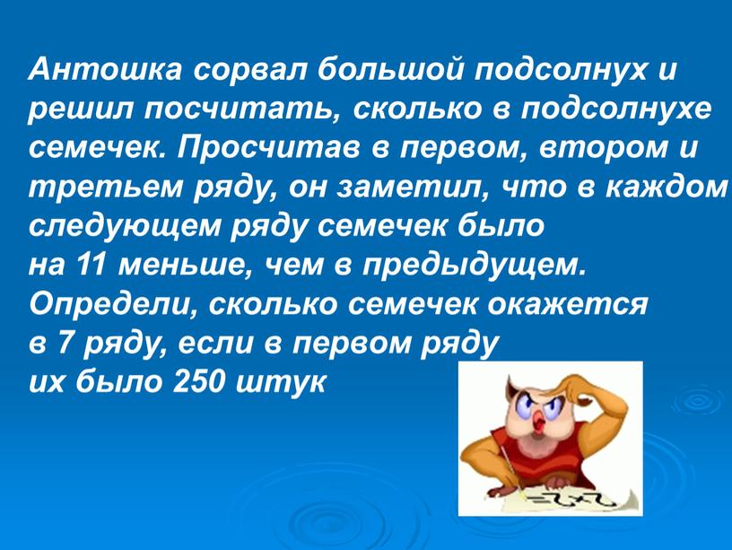 Антошка сорвал большой подсолнух и решил посчитать, сколько в подсолнухе семечек