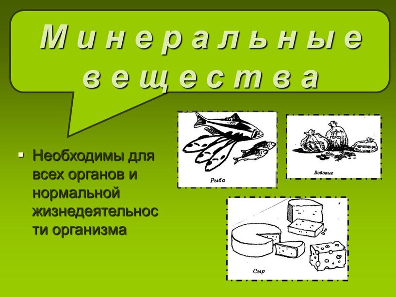 Необходимы для всех органов и нормальной жизнедеятельности организма