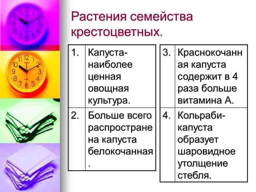 План характеристики семейства крестоцветные