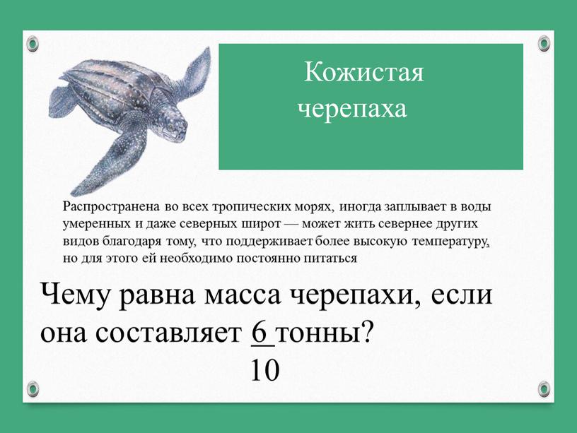 Кожистая черепаха Распространена во всех тропических морях, иногда заплывает в воды умеренных и даже северных широт — может жить севернее других видов благодаря тому, что…