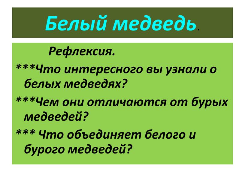 Белый медведь . Рефлексия