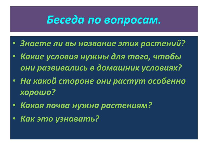 Беседа по вопросам. Знаете ли вы название этих растений?