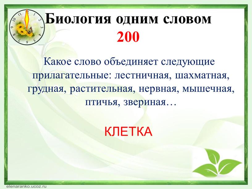 Биология одним словом 200 Какое слово объединяет следующие прилагательные: лестничная, шахматная, грудная, растительная, нервная, мышечная, птичья, звериная…