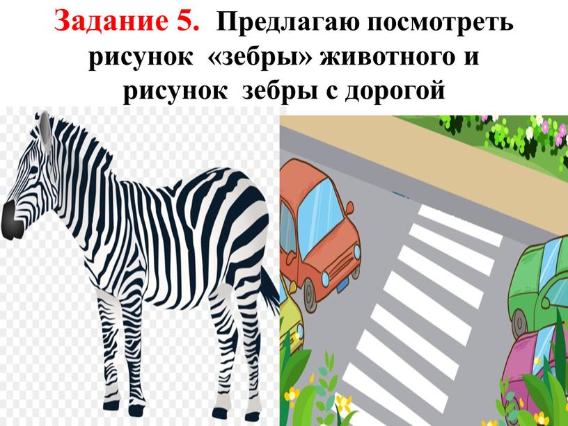 Задание 5. Предлагаю посмотреть рисунок «зебры» животного и рисунок зебры с дорогой