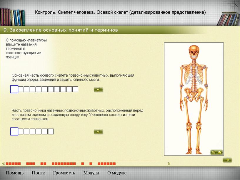 Методы развития познавательной деятельности учащихся