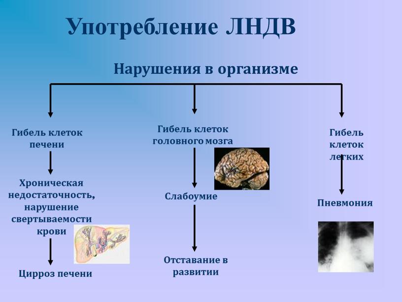 Употребление ЛНДВ Гибель клеток печени