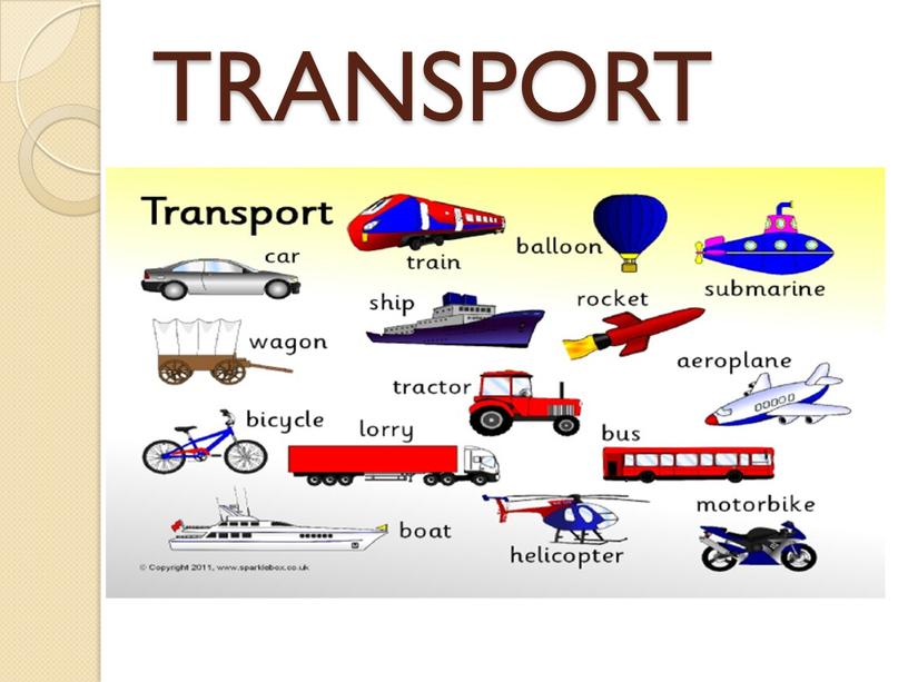 TRANSPORT