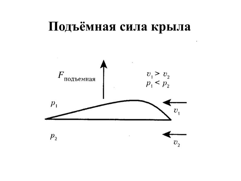 Подъёмная сила крыла