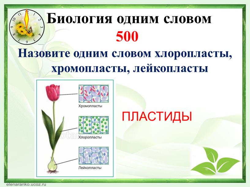 Какая нить в природе самая тонкая. Смотреть фото Какая нить в природе самая тонкая. Смотреть картинку Какая нить в природе самая тонкая. Картинка про Какая нить в природе самая тонкая. Фото Какая нить в природе самая тонкая