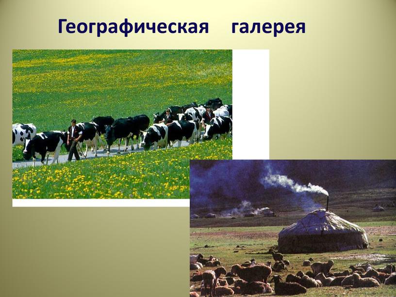 Географическая галерея