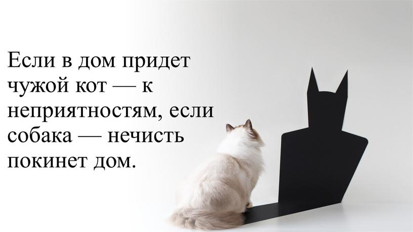 Если в дом придет чужой кот — к неприятностям, если собака — нечисть покинет дом