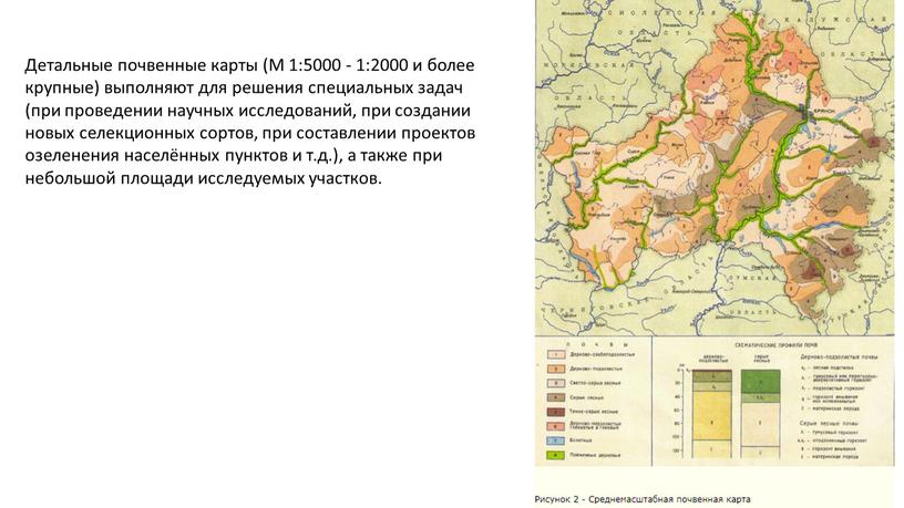 Детальные почвенные карты (М 1:5000 - 1:2000 и более крупные) выполняют для решения специальных задач (при проведении научных исследований, при создании новых селекционных сортов, при…