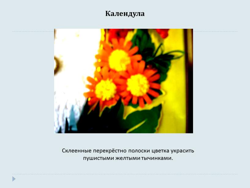 Календула Склеенные перекрёстно полоски цветка украсить пушистыми желтыми тычинками