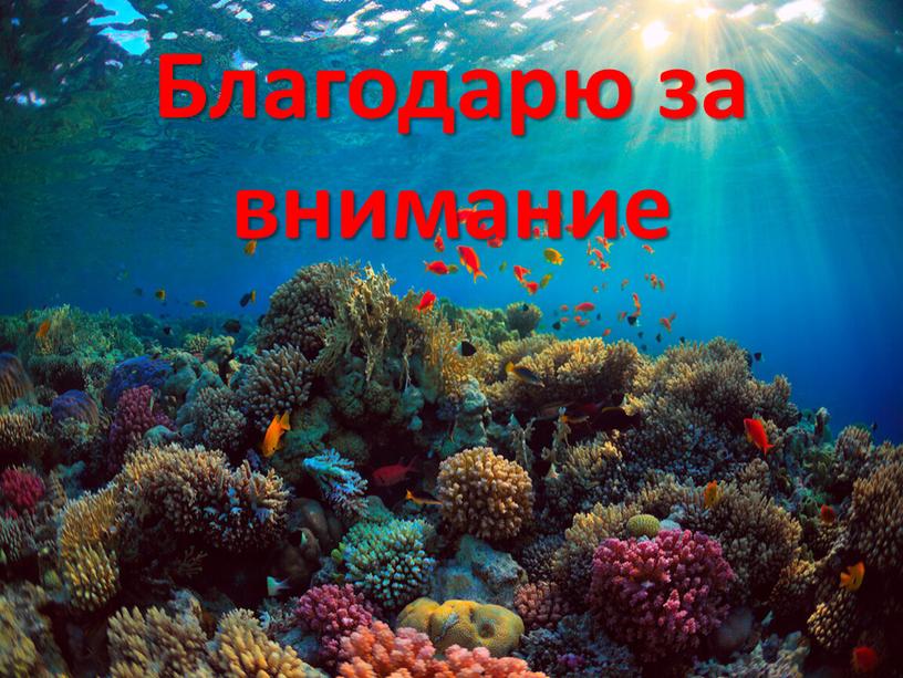 Благодарю за внимание