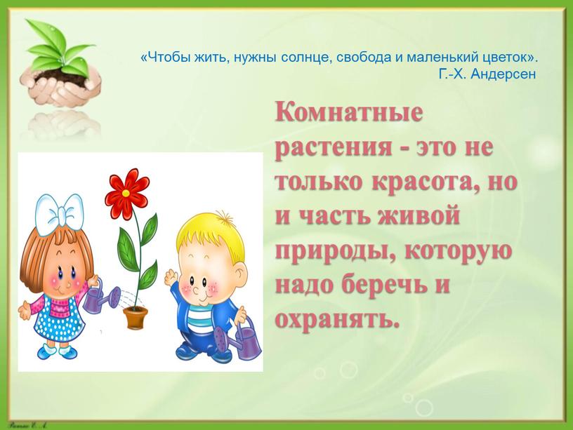 Комнатные растения - это не только красота, но и часть живой природы, которую надо беречь и охранять