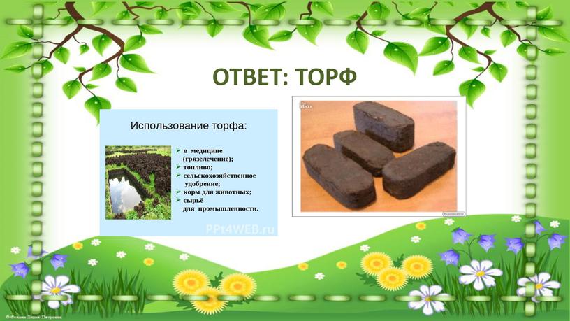 ОТВЕТ: ТОРФ