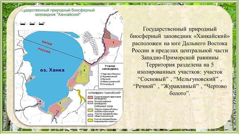 Государственный природный биосферный заповедник «Ханкайский» расположен на юге