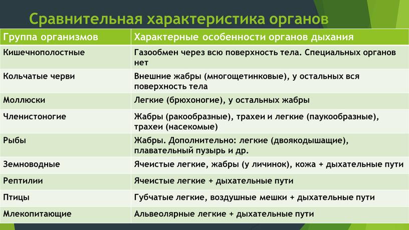 Сравнительная характеристика органов дыхания