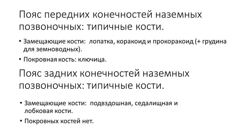 Пояс передних конечностей наземных позвоночных: типичные кости