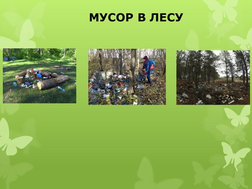 МУСОР В ЛЕСУ