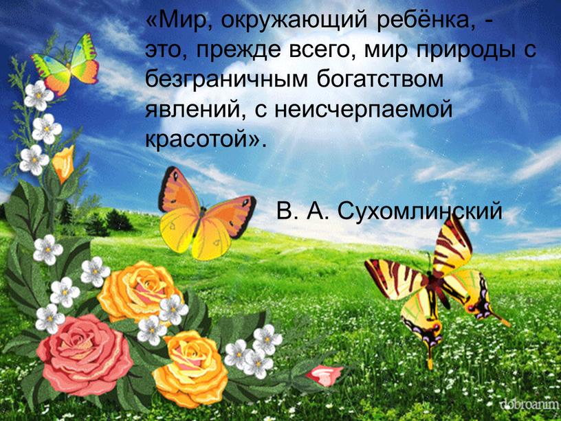 Мир, окружающий ребёнка, - это, прежде всего, мир природы с безграничным богатством явлений, с неисчерпаемой красотой»