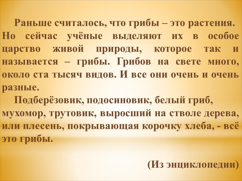 Раньше считалось, что грибы – это растения