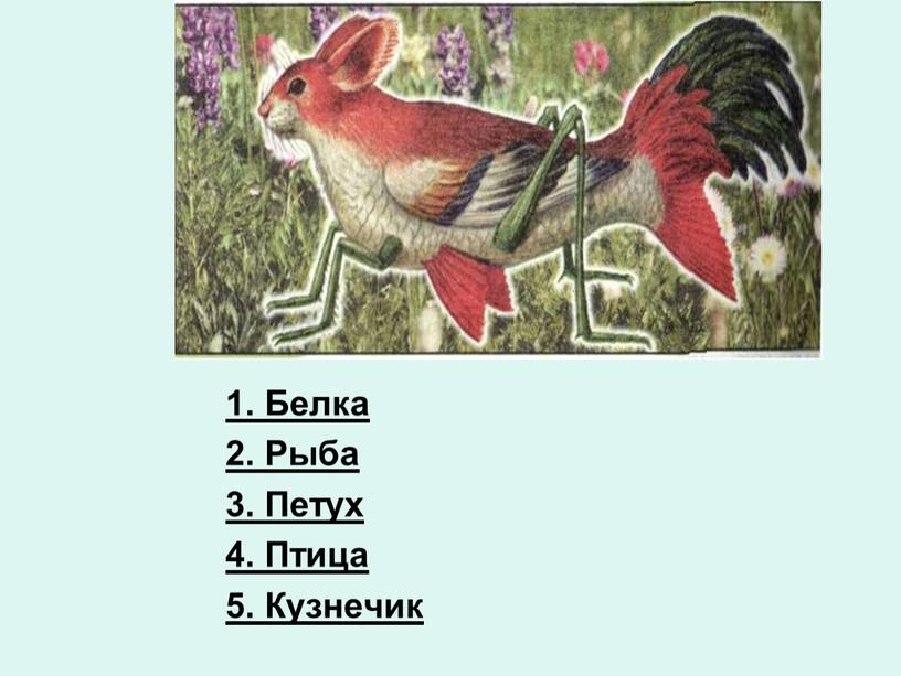 Белка 2. Рыба 3. Петух 4. Птица 5