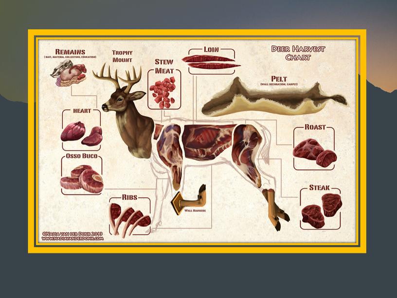 Презентация по теме :Мясо диких животных .Олень и лось