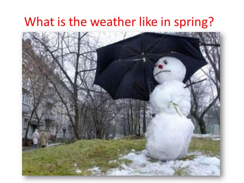 What is the weather like in spring?