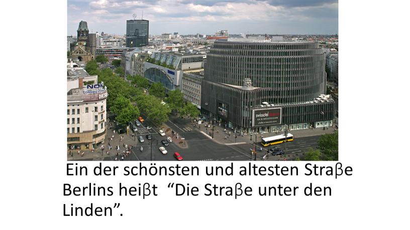 Ein der schönsten und altesten