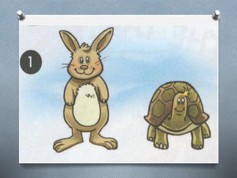 The hare&the tortoise