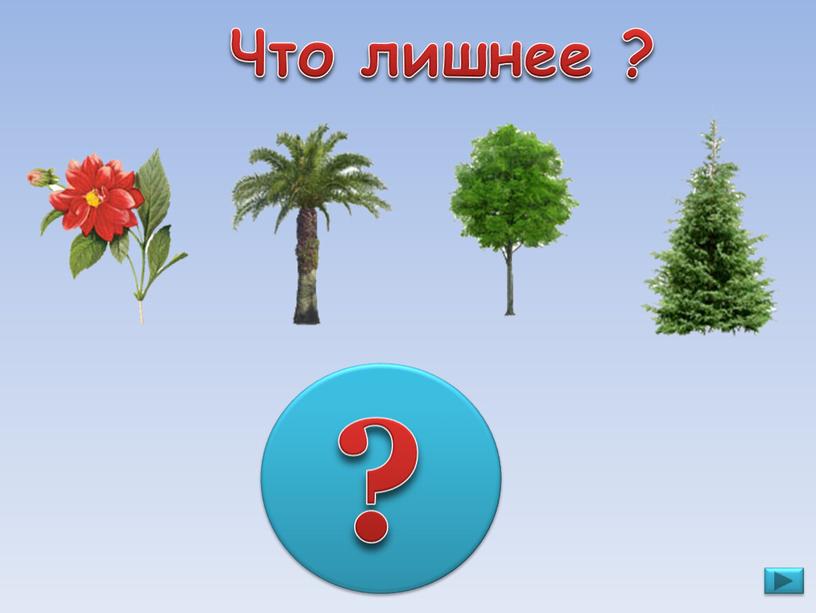 Что лишнее ? ?