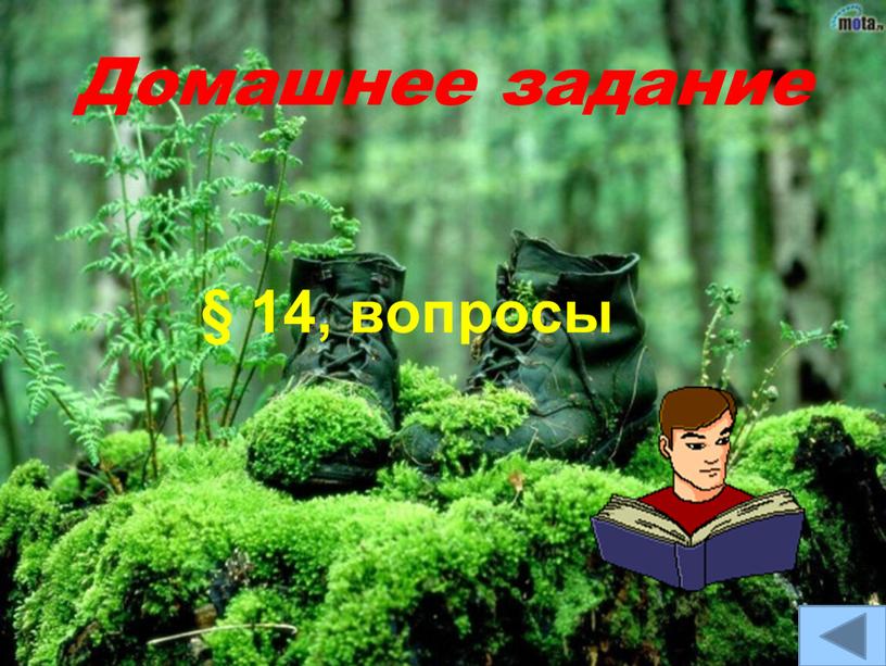 Домашнее задание § 14, вопросы