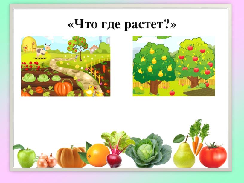 Презентация на тему: "Различение растений огорода (овощи), сада (фрукты, ягоды)