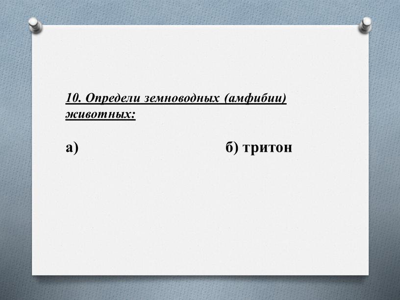 Определи земноводных (амфибии) животных: а) б) тритон