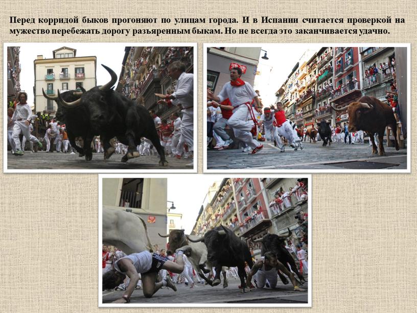 Перед корридой быков прогоняют по улицам города