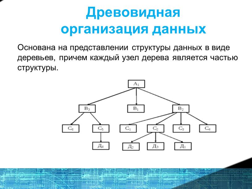 Древовидная организация данных