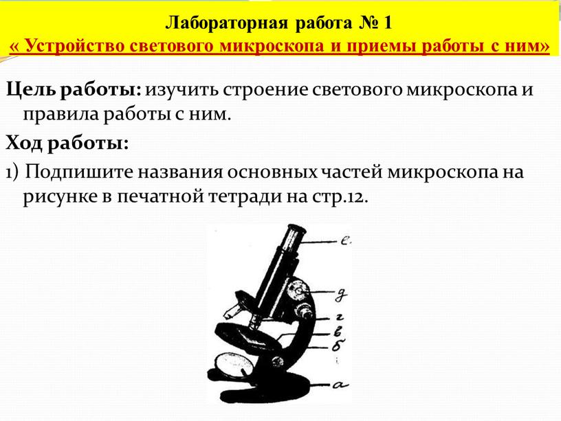 Лабораторная работа устройство светового микроскопа