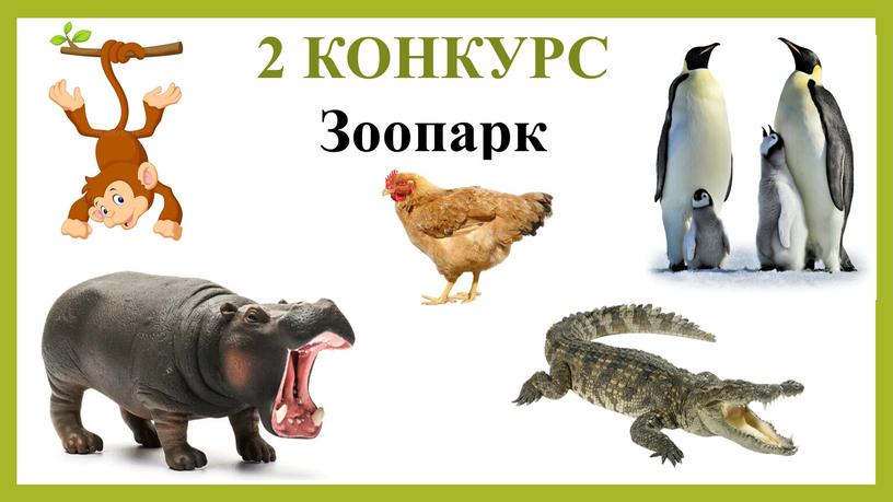 2 КОНКУРС Зоопарк