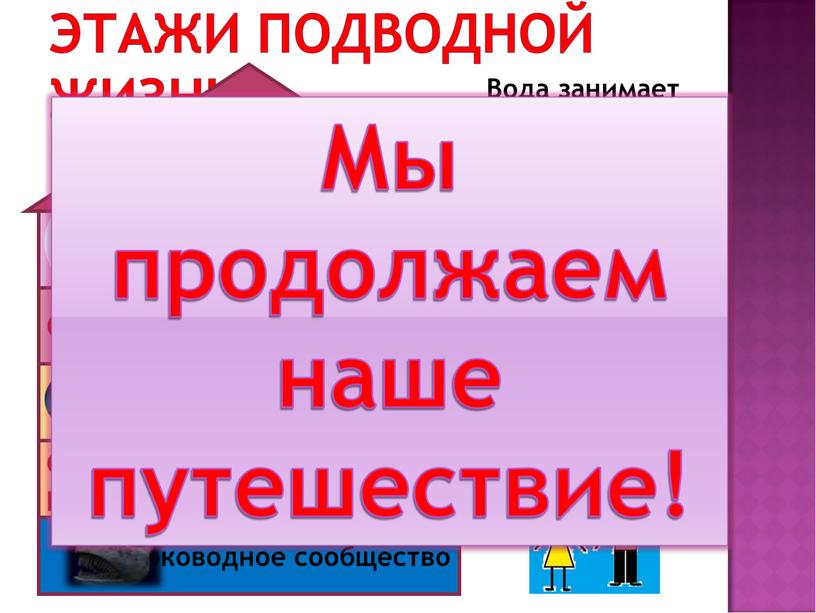 Вода занимает большую часть нашей планеты